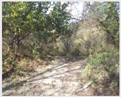  2024Ÿ2765 泲 о û ⸮ 1246      ()