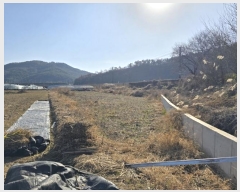  2024Ÿ3027 泲 о  290-10       ()