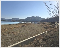  2024Ÿ3027 泲 о  290-10       ()