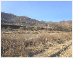  2024Ÿ3027 泲 о  290-10       ()