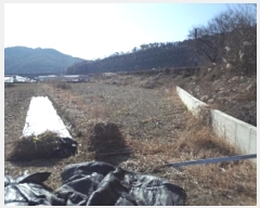  2024Ÿ3027 泲 о  290-10       ()