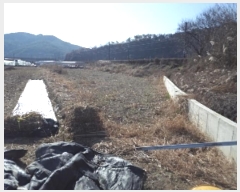  2024Ÿ3027 泲 о  290-10       ()