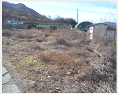  2024Ÿ��3164 �泲 �о�� ������� û�и� 807-2      ����(��)���