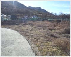  2024Ÿ��3164 �泲 �о�� ������� û�и� 807-2      ����(��)���