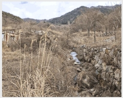  2024Ÿ3256 泲 о 곻 縮 165-5      (Ӿ)