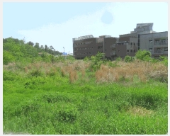  2024Ÿ3263 泲 о κϸ  156-1      ()