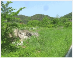  2024Ÿ3263 泲 о κϸ  156-1      ()