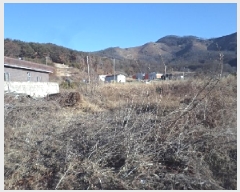  2024Ÿ3263 泲 о κϸ  156-1      ()