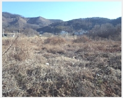  2024Ÿ3263 泲 о κϸ  156-1      ()