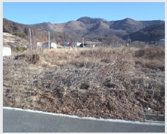  2024Ÿ3263 泲 о κϸ  156-1      ()