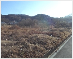  2024Ÿ3263 泲 о κϸ  156-1      ()