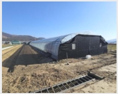  2024Ÿ��3294  ����