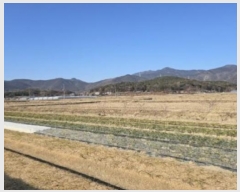  2024Ÿ��3294  ����