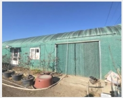  2024Ÿ��3294  ����