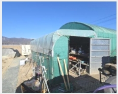  2024Ÿ��3294  ����