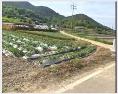  2024Ÿ11059 泲 â籺   514-5      ()