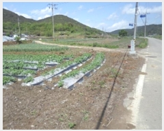  2024Ÿ11059 泲 â籺   514-5      ()