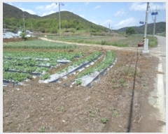  2024Ÿ11059 泲 â籺   514-5      ()