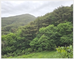  2024Ÿ11110 泲 о 󵿸 ȭ 94      (Ӿ)