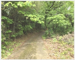  2024Ÿ11110 泲 о 󵿸 ȭ 94      (Ӿ)