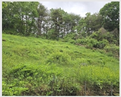  2024Ÿ11110 泲 о 󵿸 ȭ 94      (Ӿ)