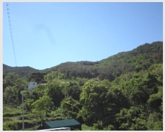  2024Ÿ11110 泲 о 󵿸 ȭ 94      (Ӿ)