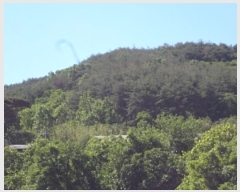  2024Ÿ11110 泲 о 󵿸 ȭ 94      (Ӿ)