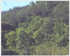  2024Ÿ11110 泲 о 󵿸 ȭ 94      (Ӿ)