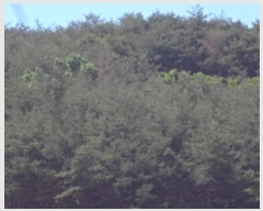  2024Ÿ11110 泲 о 󵿸 ȭ 94      (Ӿ)