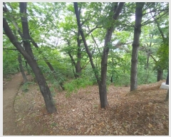  2024Ÿ11141 泲 â籺 â  402      (Ӿ)