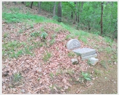  2024Ÿ11141 泲 â籺 â  402      (Ӿ)