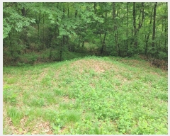  2024Ÿ11141 泲 â籺 â  402      (Ӿ)