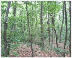  2024Ÿ11141 泲 â籺 â  402      (Ӿ)