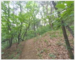  2024Ÿ11141 泲 â籺 â  402      (Ӿ)