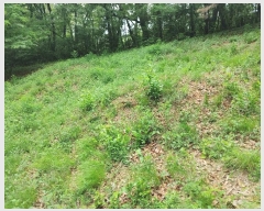  2024Ÿ11141 泲 â籺 â  402      (Ӿ)