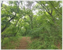  2024Ÿ11141 泲 â籺 â  402      (Ӿ)