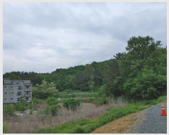  2024Ÿ11141 泲 â籺 â  402      (Ӿ)