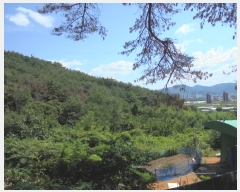  2024Ÿ��11196  �����