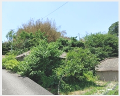  2024Ÿ11479 泲 â籺  ɸ 905      ()