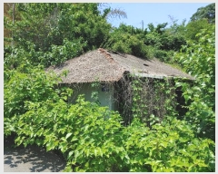  2024Ÿ11479 泲 â籺  ɸ 905      ()