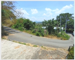  2024Ÿ11479 泲 â籺  ɸ 905      ()