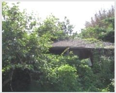  2024Ÿ11479 泲 â籺  ɸ 905      ()