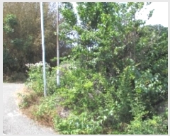  2024Ÿ11479 泲 â籺  ɸ 905      ()