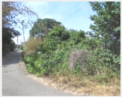  2024Ÿ11479 泲 â籺  ɸ 905      ()