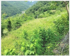  2024Ÿ��11493 �泲 �о�� ����� ��õ�� 1260      ����(��)���