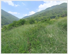  2024Ÿ��11493 �泲 �о�� ����� ��õ�� 1260      ����(��)���