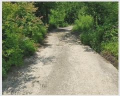  2024Ÿ��11493 �泲 �о�� ����� ��õ�� 1260      ����(��)���