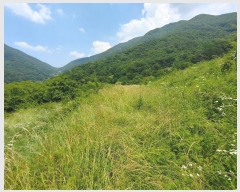  2024Ÿ��11493 �泲 �о�� ����� ��õ�� 1260      ����(��)���