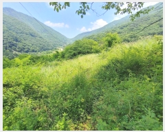  2024Ÿ��11493 �泲 �о�� ����� ��õ�� 1260      ����(��)���