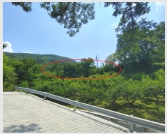  2024Ÿ��11493 �泲 �о�� ����� ��õ�� 1260      ����(��)���